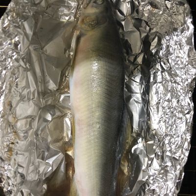 魚焼きグリル 両面 汚さない アルミホイルTikTok