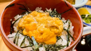 ちょっと贅沢に幸せウニ丼♪