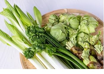 黄金の熱盛りの麺に黄金の卵を絡めて食べる大阪流つけ麺のお店がオープンしました！ 東成区中本 「金の玉子」Mのランチ