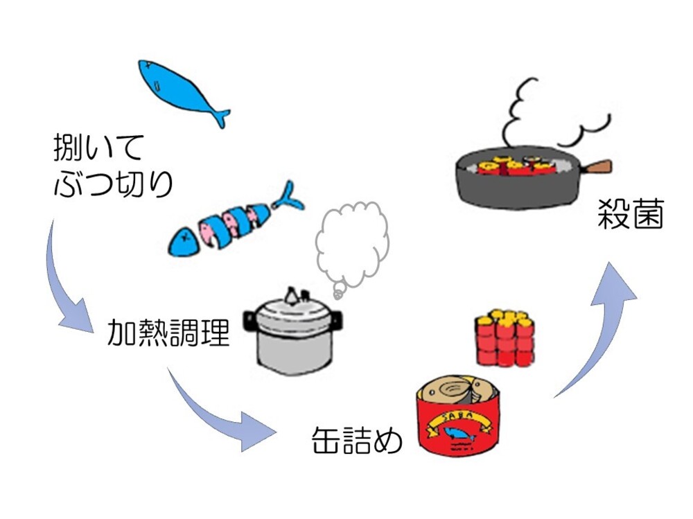 缶詰工場直送 伝統のさば缶「旬ほとぎ」水煮36缶さば サバ 鯖 缶詰 サバ缶 さば缶 鯖缶 水煮 ご飯のお供 保存食D4-013 JALふるさと納税サイト