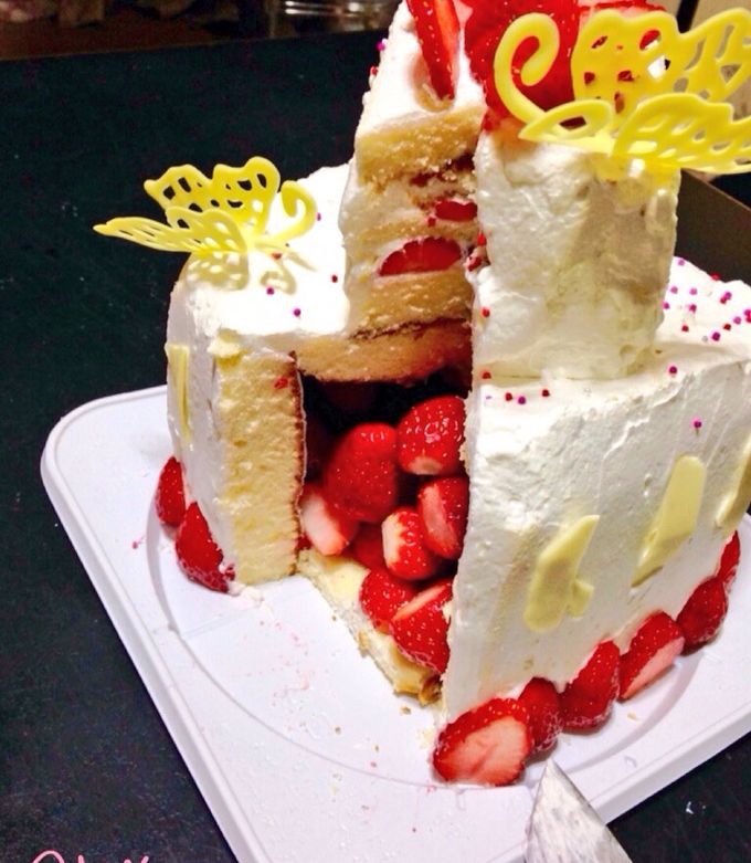 前に作ったレアチーズケーキ かすみ草がかわいい💕お菓子作りスイーツ作り 手作りお菓子手作りスイーツお菓子作り好きな人と繋がりたいお菓子作り初心者お菓子作り記録一眼レフレアチーズケーキ二段ケーキ2段ケーキ手作りケーキ過去pic