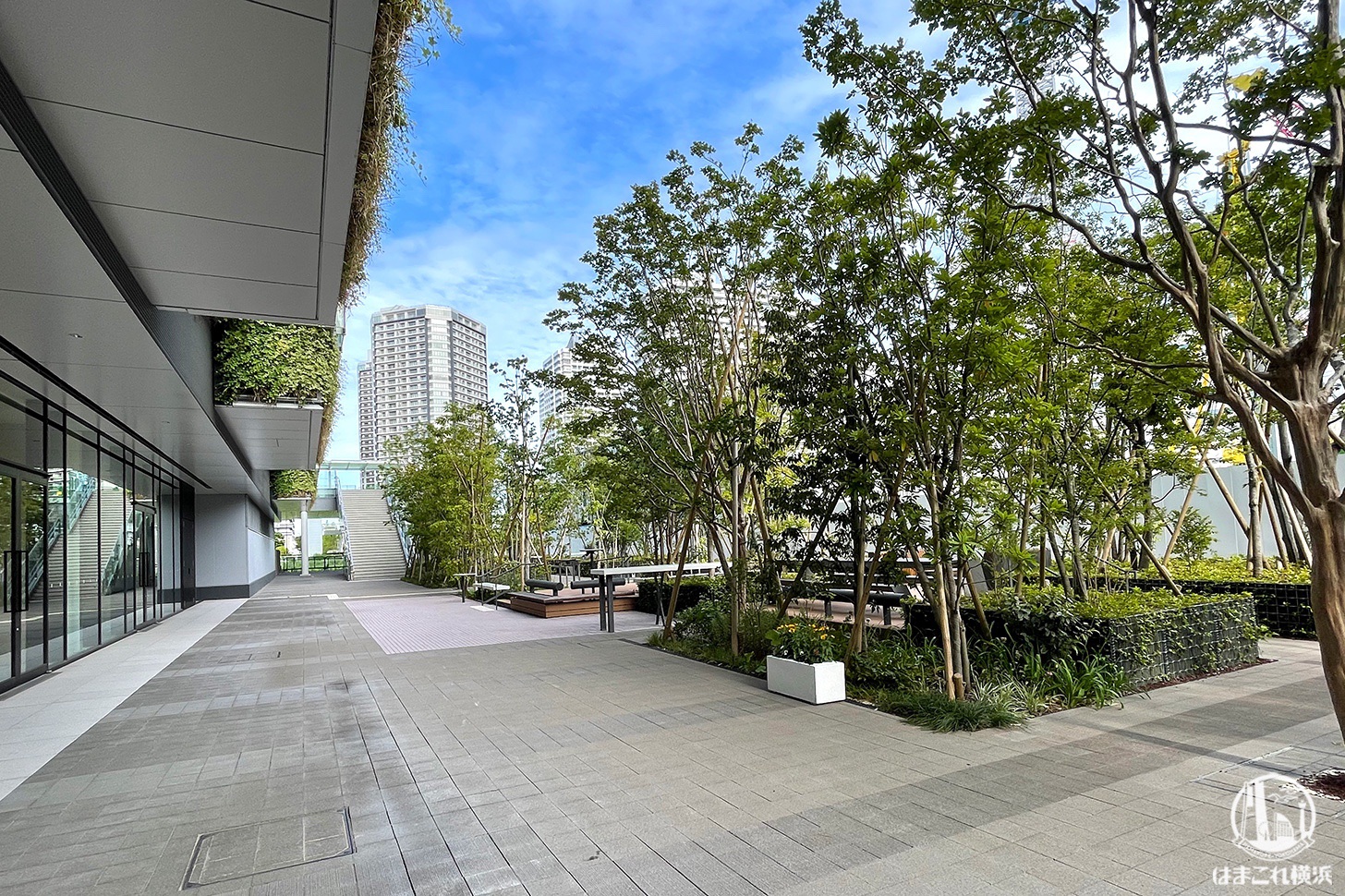 コスパ最強🍽横浜グランゲートにあるフレンチレストランの大人のお子様ランチ🍽ぶたさんが投稿したフォトブックLemon8