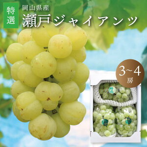 長野県産 究極の食べ比べ！ 高級ぶどう3種セット約1.5kgクイーンルージュ、シャインマスカット、ナガノパープル各１房 送料無料 ぶどう 葡萄 産直だよりの通販・お取り寄せなら ぐるすぐり