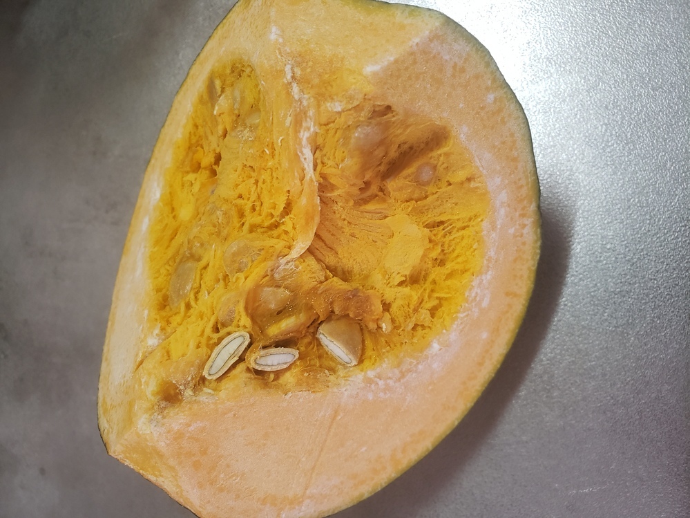 これってかぼちゃのカビ?見分け方と食べてもOKかは簡単にわかる