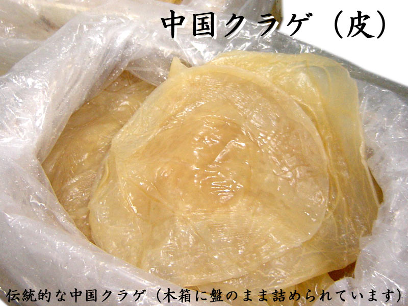 有明の赤クラゲ