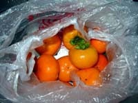 農家直伝！柿の渋抜きのやり方 渋柿の焼酎漬けで柿が甘くなる ばあちゃんの料理教室shorts - YouTube