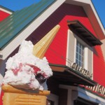 日野市 暑い夏に大人気のジェラート！百草ファーム直営の新鮮な美味しさ！日野産の季節限定ジェラートも味わえます！号外NET 日野市