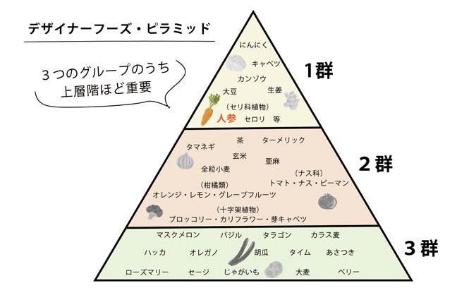 ヘルシーフードピラミッドのイラスト素材・ベクター Image 101879947