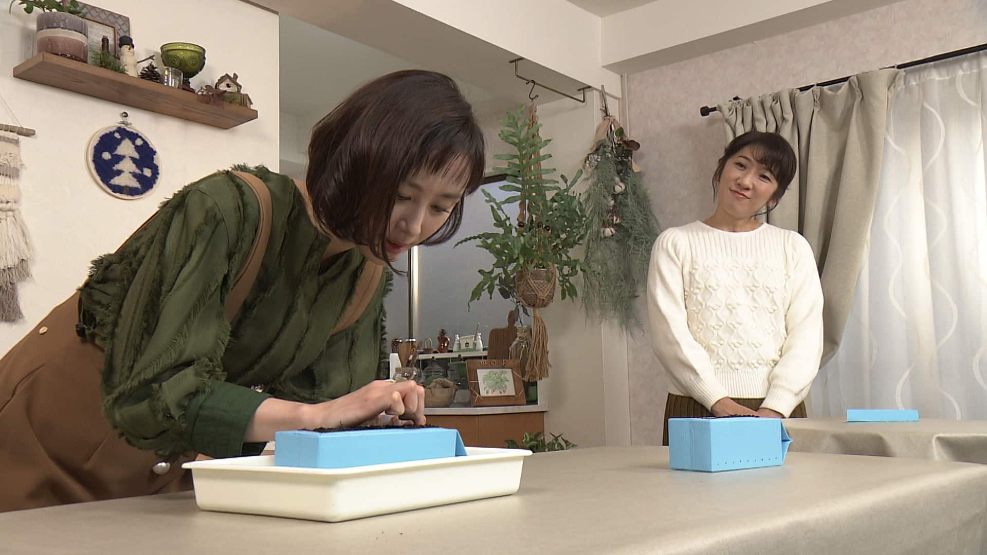 牛乳パックで家庭菜園 初心者も子供も楽しめるHint-Pot