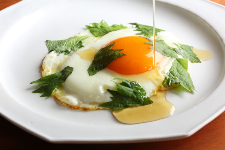 アボカドと目玉焼きのサラダ〜ハーブソルトドレッシング