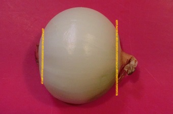 バーベキューの野菜！下ごしらえと切り方、焼き方と炭の火力調整カゴメ株式会社