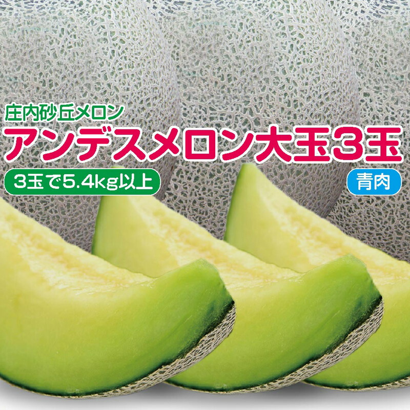 食味にこだわる栽培法「庄内砂丘メロン3キロ箱」 出荷時期：6月下旬より販売時期：8月10日まで他品番との同時注文不可 モンベル