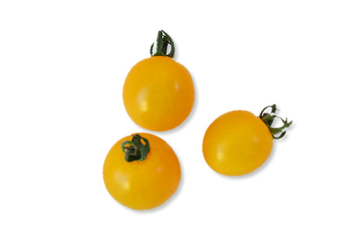 輸入・国産青果物専門商社≪ベルフーズ≫ 静岡産 フルーツトマト「月ろまん」 野菜G-Callショッピング