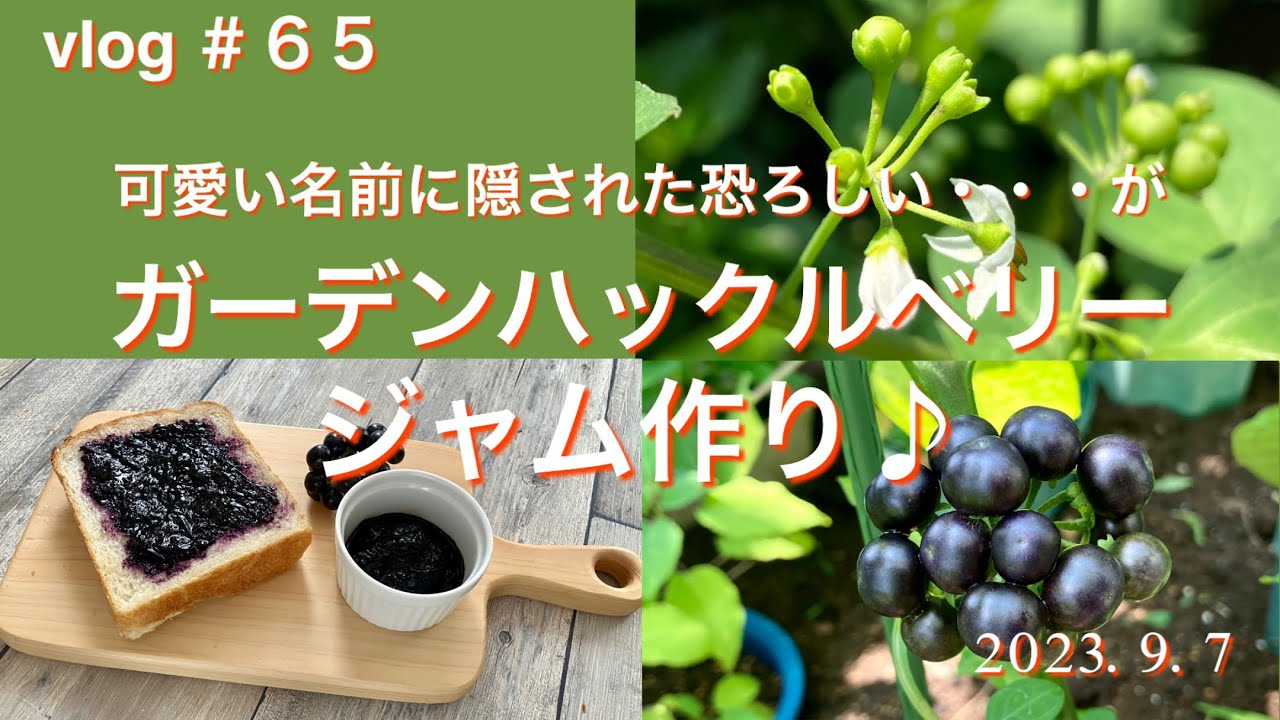 ガーデンハックルベリーのジャムを作ってみました - うちごはん