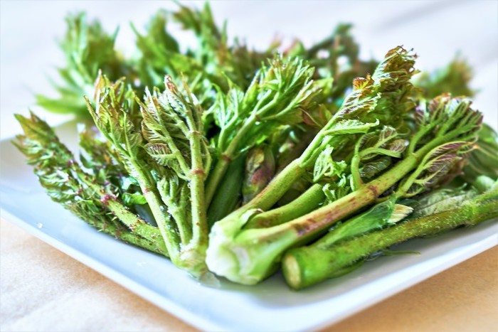 タラの芽と言われて頂きました。葉っぱだと思うのですが本当に食べれるのでしょう- Yahoo!知恵袋