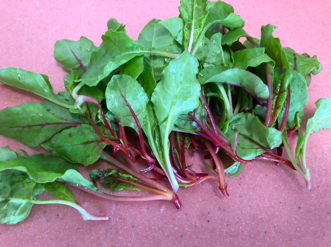 ラディッシュの葉の浅漬け