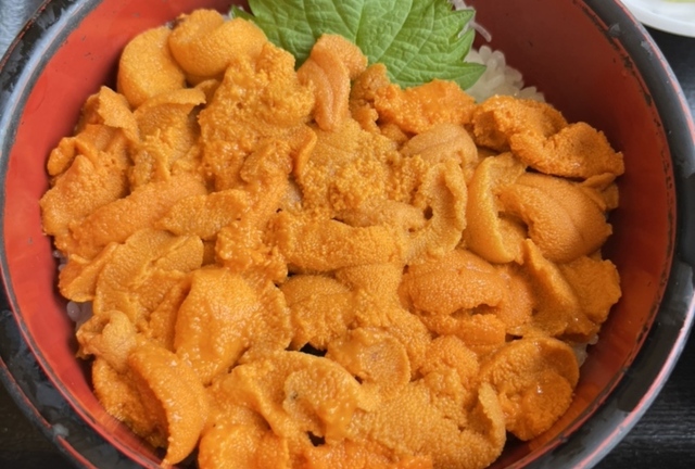 積丹神威岬ペットok宿北海道新生ホワイトテラスホテル積丹ウニ丼レストラン積丹ホテルウニ丼温泉積丹半島 うに丼ペットと泊まれる宿北海道北海道積丹町余別町30番地海鮮味処御宿新生積丹宿泊ウニ積丹宿積丹半島宿泊うに旅館積丹