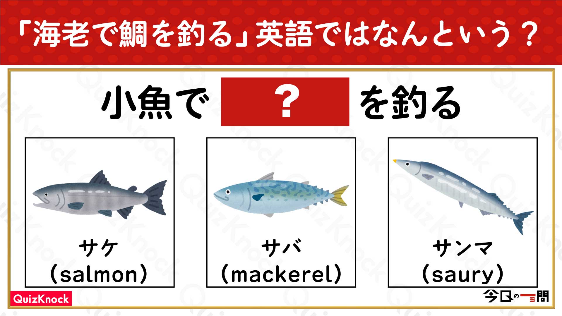 クイズで覚える英単語 魚の名前を英語で言える？簡単そうで難しい魚の種類を英語で覚えましょう。 – キレイ研究室
