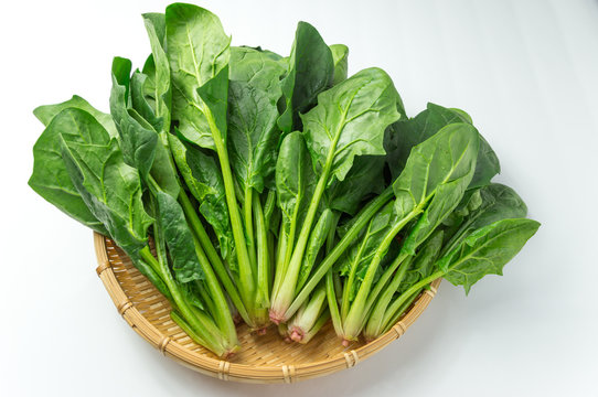 JA太田市特産品 ほうれん草