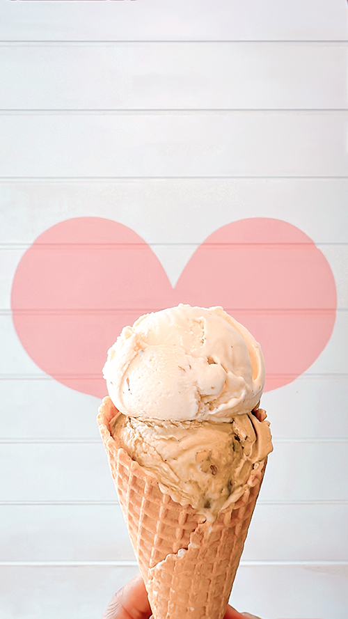 アイスクリームメーカー バニラアイスのレシピ - 生かし屋さん