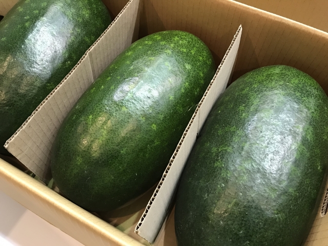 冬瓜 とうがん- e-種や国内最大級の野菜種・花種・苗・農業資材の販売店