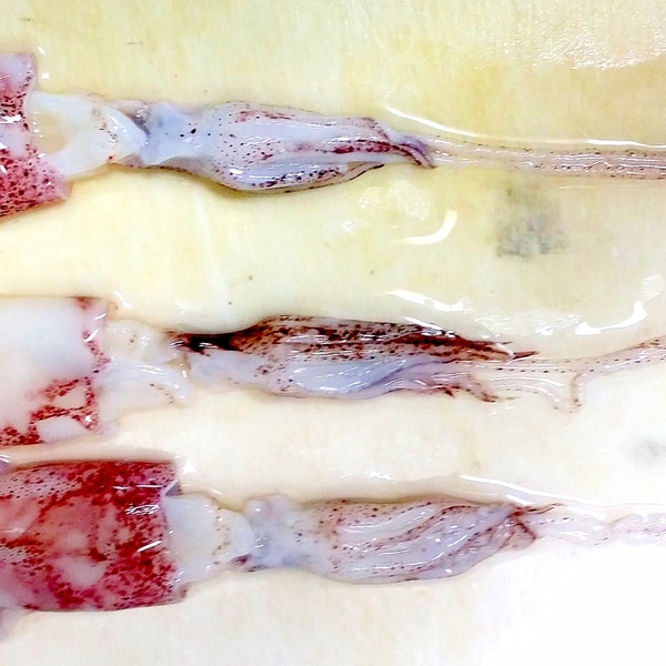 見つけたらラッキー！瀬戸内の「ベイカ」海と日本PROJECT in かがわ