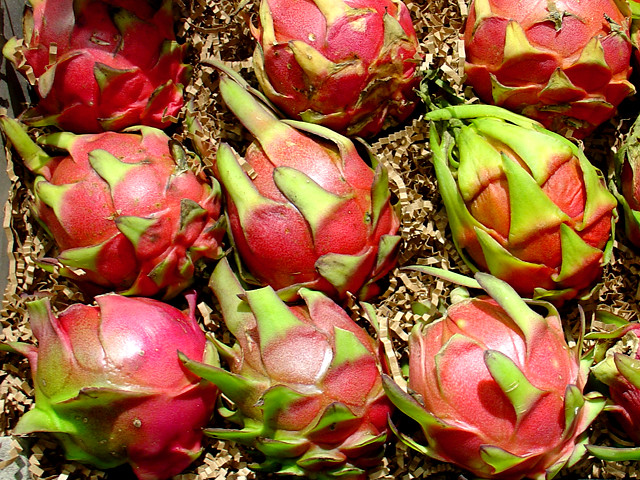 英語で学ぼう！ 世界の珍しいフルーツを英語で学ぼう！Learning About Unique Fruits From Around theWorld in English! 公式 ハッチリンクジュニア・オンライン英会話ブログ