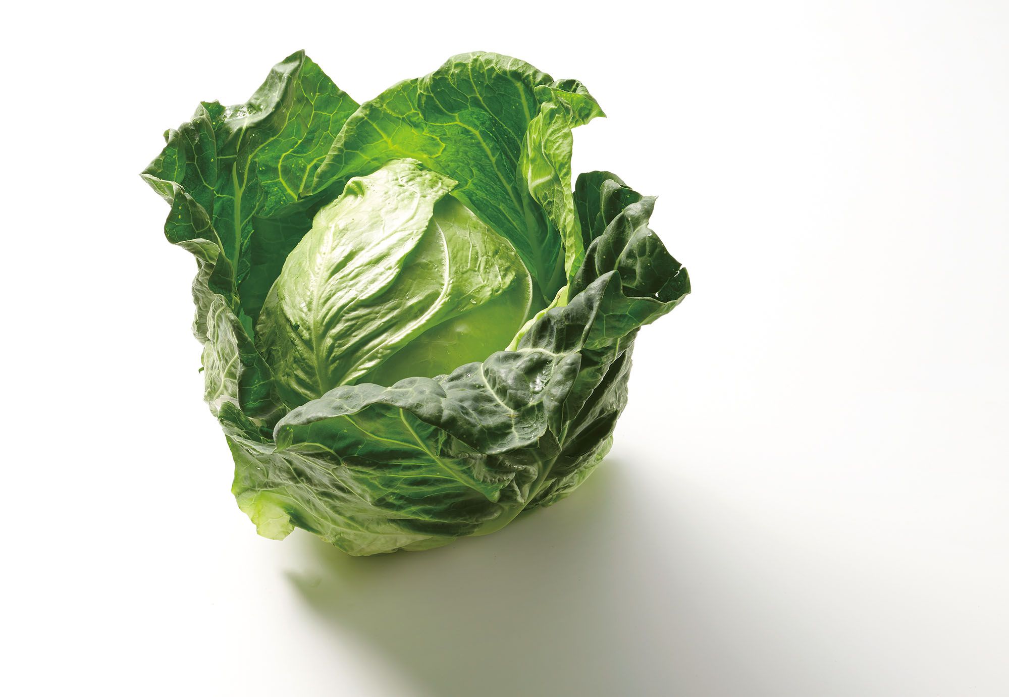 爆弾並みに硬いキャベツの食べ方sunset diary