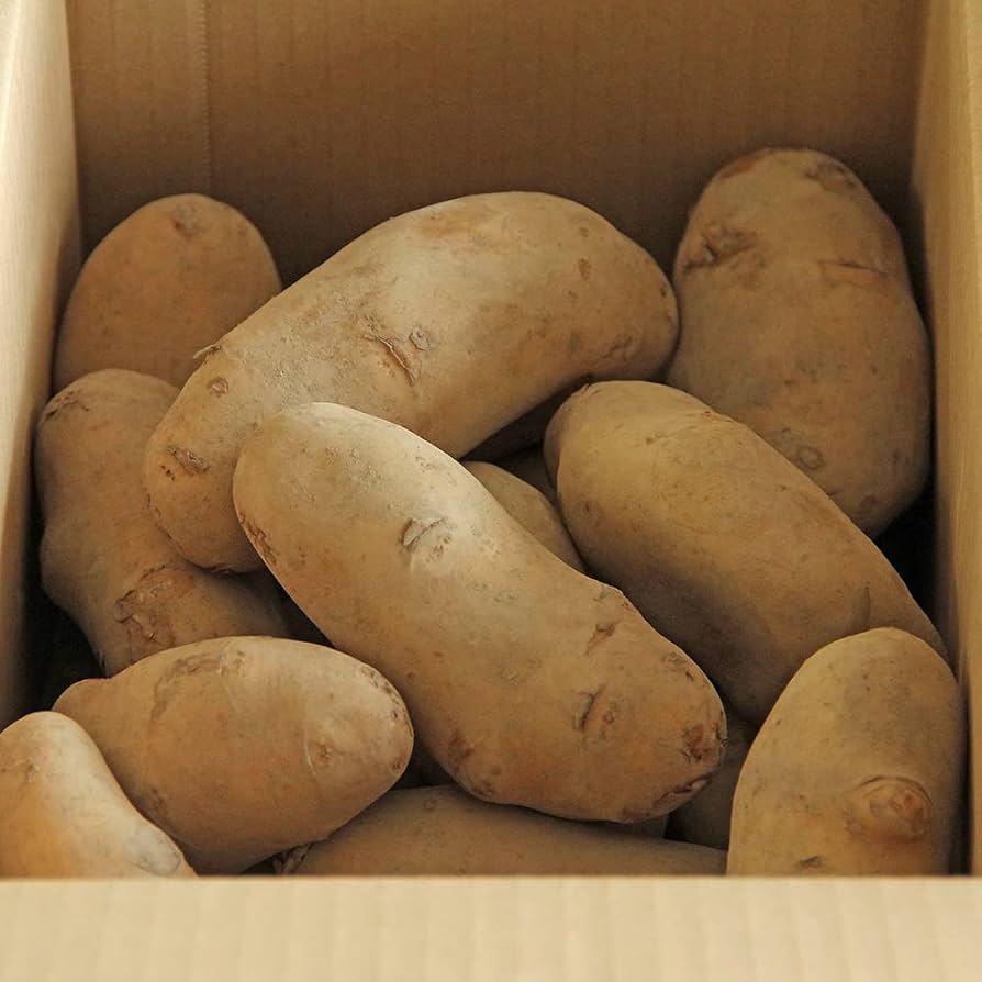 野菜のプロが解説！じゃがいもをスーパーで買うときにおいしいものを見分けるコツとは？サンキュ