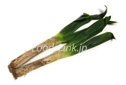 白ねぎ 長ネギ・根深2〜3本1束 大分・九州産 : おおつる青果 - 通販 - Yahoo!ショッピング