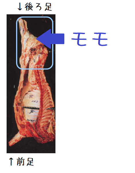 WAGYU partⅢ～基本となる13部位とその特徴～ 後編– ㈱コルドンブルー・セールスマーケティング 東京 中央区銀座