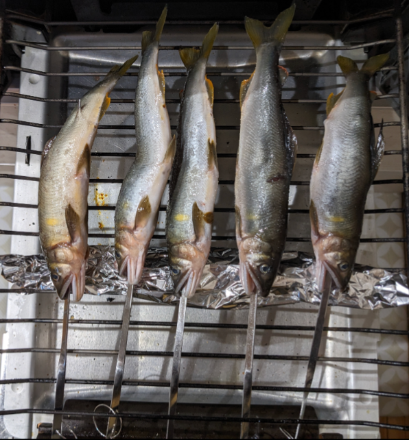 グリルで焼く鮎の塩焼きの作り方