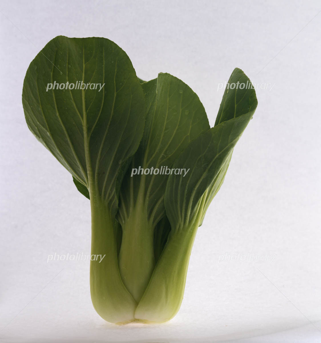 日持ち2〜3日♡お野菜不足解消♡『青梗菜のピリ辛♡なめたけ和え』 簡単*節約*作り置き*お弁当: 作り置き＆スピードおかず de おうちバル〜yuu's stylish bar〜 Powered by ライブドアブログ