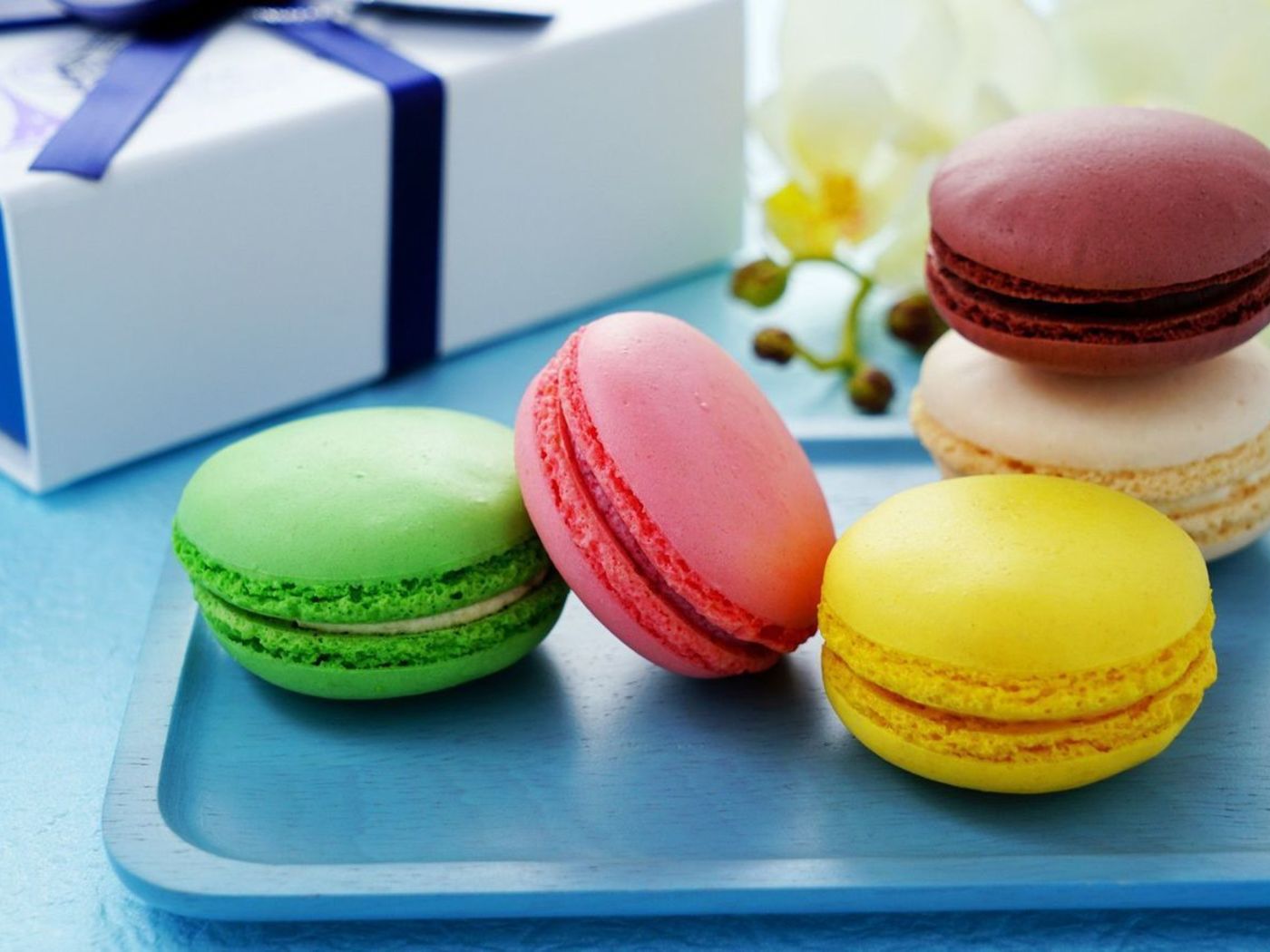おしゃれなマカロンをプレゼント！SNS映えする人気スイーツをご紹介Anny アニー