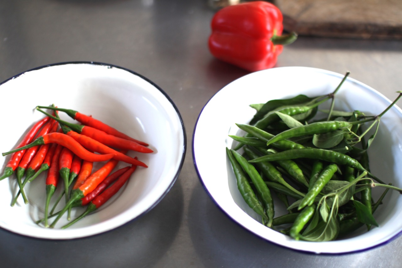 おうちで漬物・保存食53 今年も青唐辛子で甘酢漬け＆醤油漬け、初挑戦のピーマン入り青唐辛子味噌 南蛮味噌 梅ももあんず