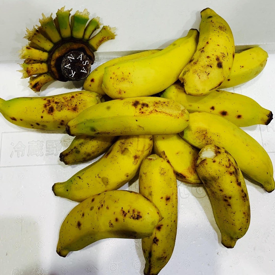 人気ビーサン『Havaianas ハワイアナス』を知る13の情報令和うさぎ合戦ぴょんぴょ子