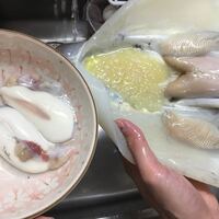 イカチチ いかちち ってなんですか？ 岡山香川愛媛と九州のごく一部で流通している珍味食材を調理する牡蠣ミユキ くにとみゆき