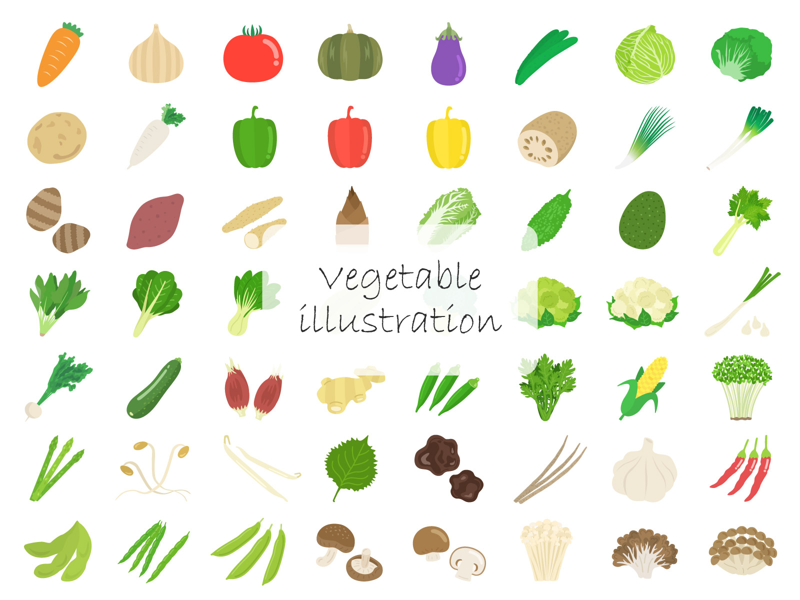 かぶのイラストフリー素材 - GreenStock40