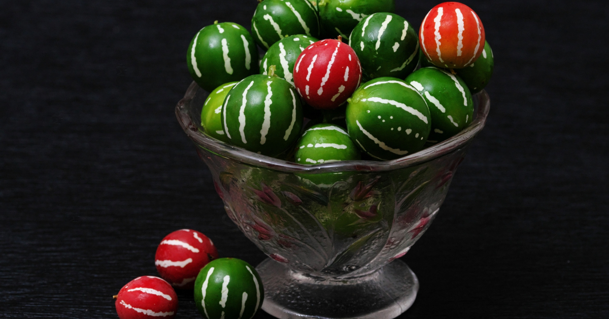 カラスウリとスズメウリの実を食べてみた野食ハンマープライス