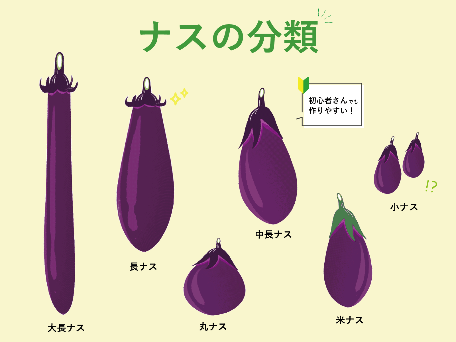 ナスの旬っていつか知ってる？産地と種類、おいしいナスの選び方 - macaroni