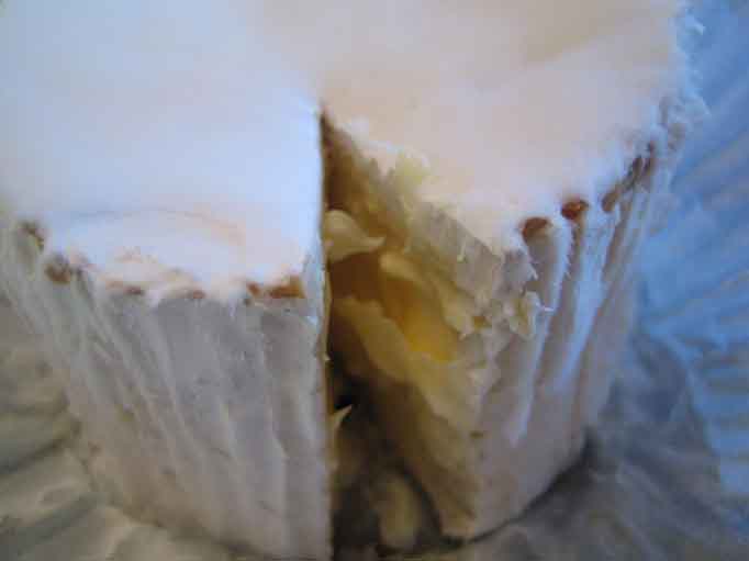 干し芋 カビの見分け方！ 干し芋農家が解説！表面の白い粉や黒っぽい色は大丈夫！？ 画像あり干し芋農家 銀篭園 ぎんろうえん