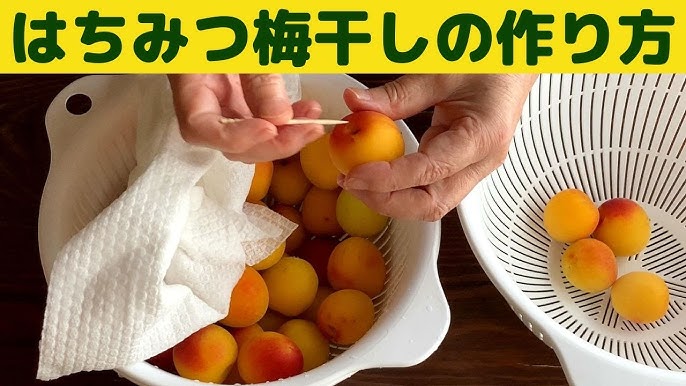 ジップロックで超簡単！初めての梅干しづくり