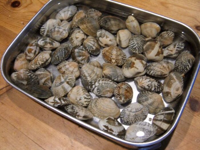 15分でOK！超時短「あさりの砂抜き方法」失敗しないための注意点や簡単レシピもみたい-まるはり×みたい-みつけて播磨 姫路、加古川など 情報サイト 旧：姫路みたい