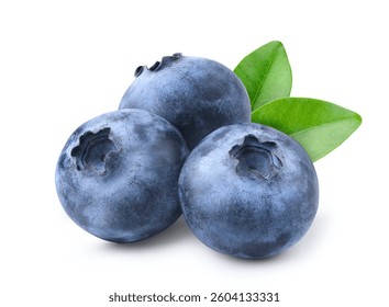 青色・紫色の果物一覧20選和名と英語名ごがくねこ