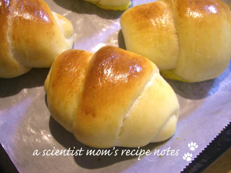 手ごねテーブルロール by くまエンジンクックパッド簡単おいしいみんなのレシピが392万品