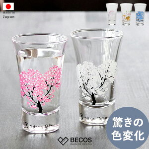 コップ 300ml ガラス カモメ 食器グラス ガラス製 ガラスコップ ロゴ タンブラー カップ ガラスタンブラー 透明 クリア ガラス食器箱入り 夏 おしゃれ:リビングート JRE MALL店通販JRE MALLショッピングJRE POINTもおトクに貯まる・使える