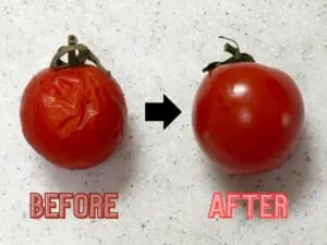 トマト栽培・ミニトマト栽培で気をつけるべき病気は？主な病気をご紹介農家web