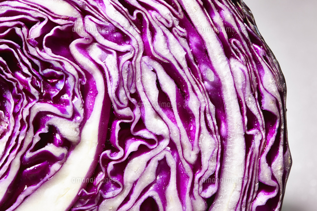 紫キャベツのソースマリネ 副菜