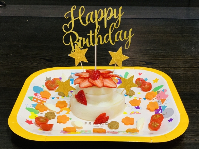 犬用ケーキ 誕生日 ハッピープチミート 無添加 食いつき 人気 おすすめ 手づくりケーキ 小さいサイズ 犬 バースデー ケーキ お肉 フードケーキグルテンフリーごはん プレゼント ギフト 贈り物 お誕生日 お迎え記念日 快気祝い 贈答用 結婚祝い パーティー お茶会 犬友 猫