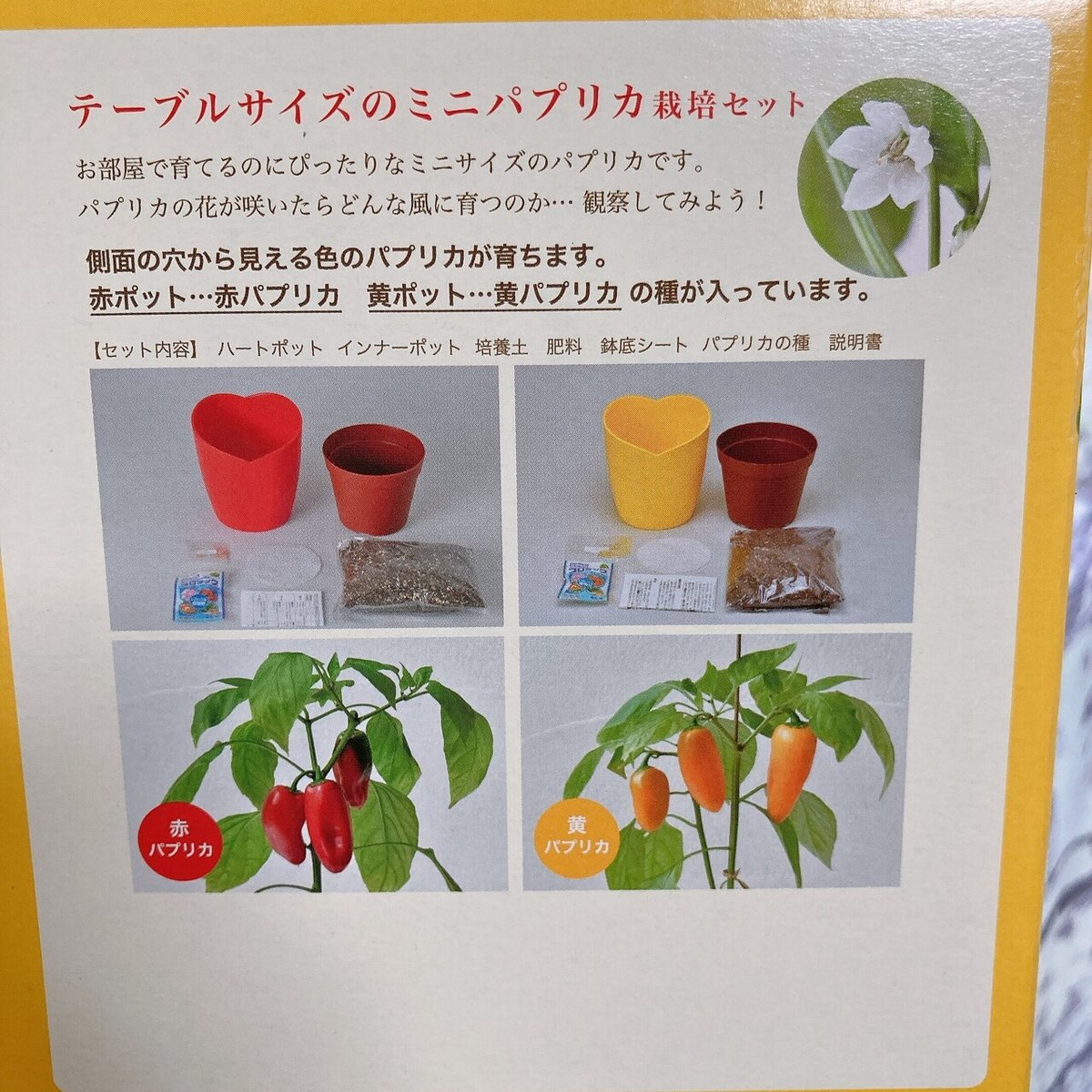 家庭菜園 ベランダで自作の水耕栽培 Qooの部屋